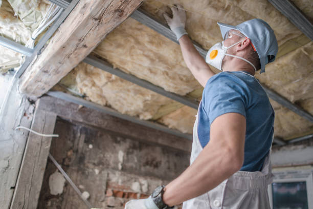 Best Insulation Maintenance and Repair in Kings Beach, CA